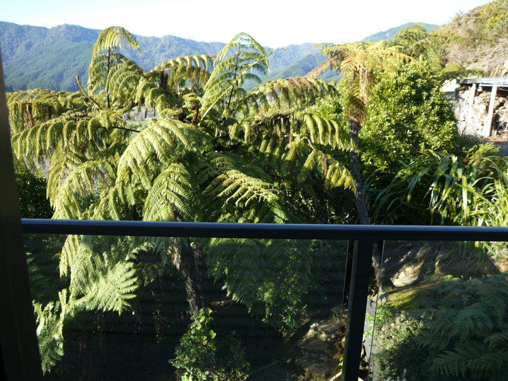 Okiwa Bay Lodge Picton Exterior photo