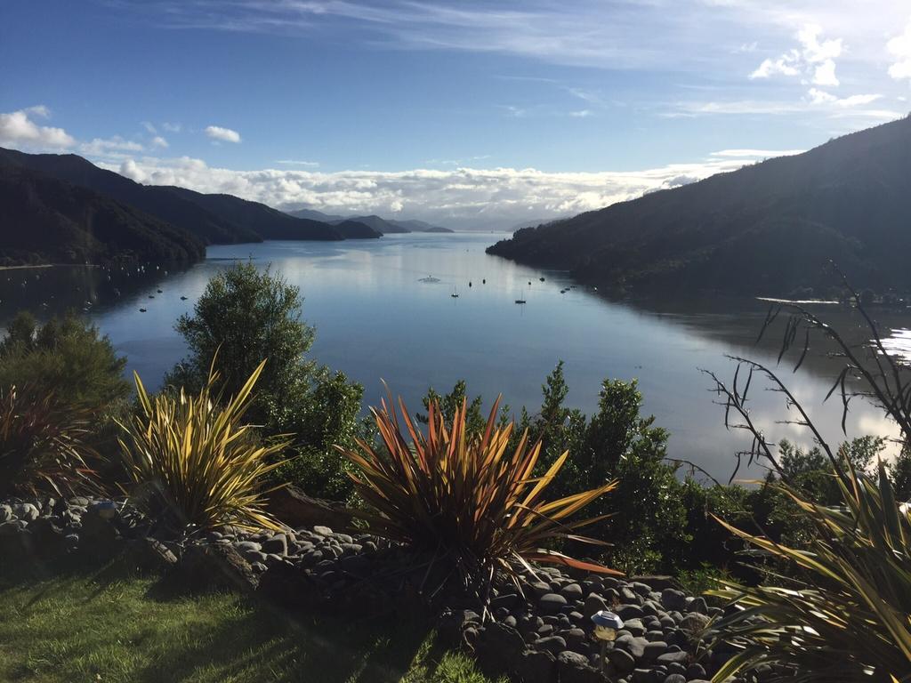 Okiwa Bay Lodge Picton Exterior photo